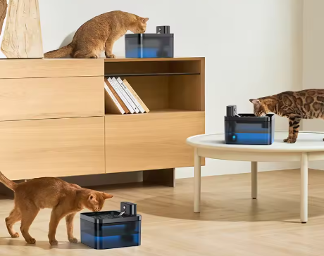 Automatic Pet Water Fountain 2600mAh Wireless Cat Water Dispenser 2.2L Infrared Sensor Smart Dog Drinkier Filter Fountain